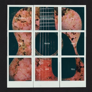 Cover of All the Truth That I Can Tell