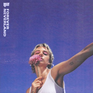 Cover of Forever Neverland