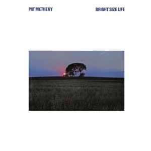 Cover of Bright Size Life