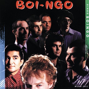 Cover of BOI-NGO