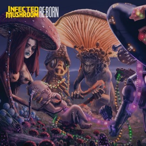Hoes van RE:BORN