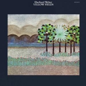 Cover of Yellow Fields