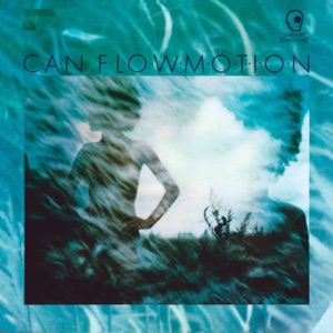 Cover of Flow Motion