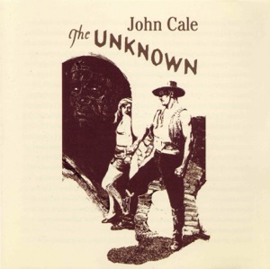 Cover of The Unknown