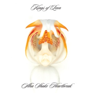 Cover of Aha Shake Heartbreak