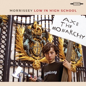Cover of Low in High School