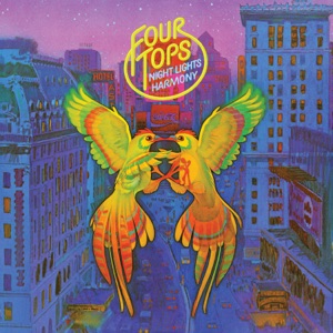 Hoes van Night Lights Harmony