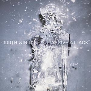 Cover of 100th Window