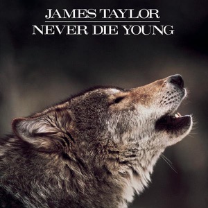 Cover of Never Die Young