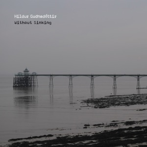 Cover of Without Sinking
