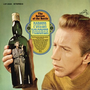 Cover of The Bottom of the Bottle