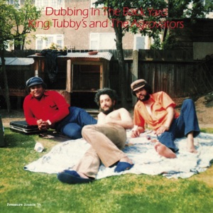 Cover of Dubbing in the Back Yard