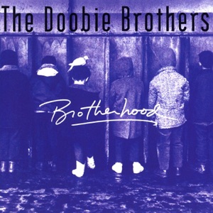 Cover of Brotherhood