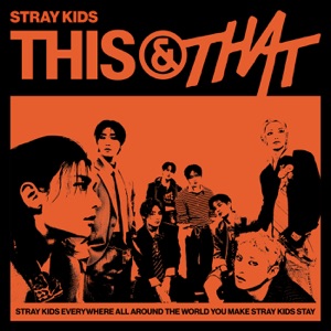 Cover of THIS & THAT