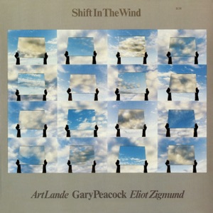 Cover of Shift in the Wind