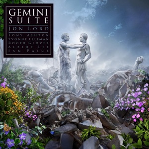 Hoes van Gemini Suite