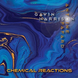 Cover of Chemical Reactions