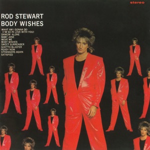 Cover of Body Wishes
