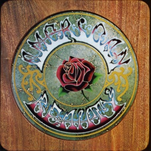 Cover of American Beauty