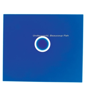 Cover of Beaucoup Fish