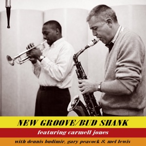 Cover of New Groove