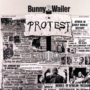 Cover of Protest