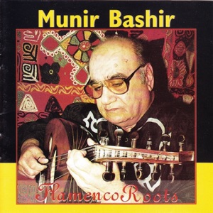 Cover of Flamenco Roots