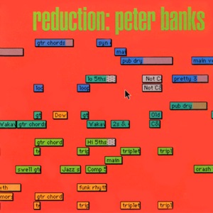 Cover of Reduction