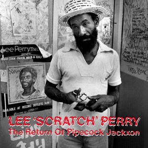 Hoes van The Return of Pipecock Jackxon