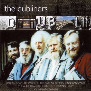 Cover of The Dubliner's Dublin