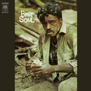 Cover of Br'er Soul