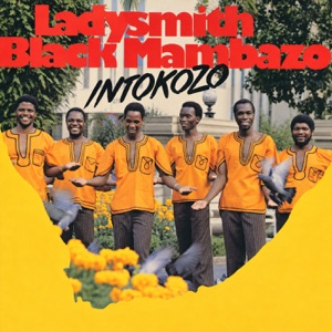 Cover of Intokozo