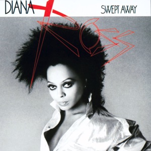 Cover of Swept Away