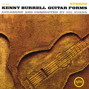 Hoes van Guitar Forms