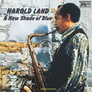 Cover of A New Shade of Blue