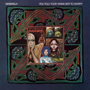 Cover of You Told Your Mama Not to Worry