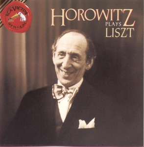 Hoes van Horowitz Plays Liszt