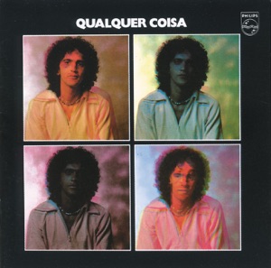 Cover of Qualquer coisa