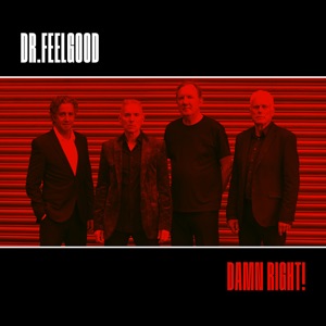 Cover of Damn Right!