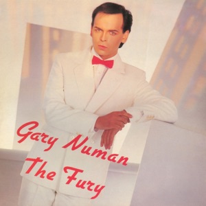 Cover of The Fury
