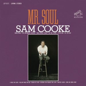Cover of Mr. Soul