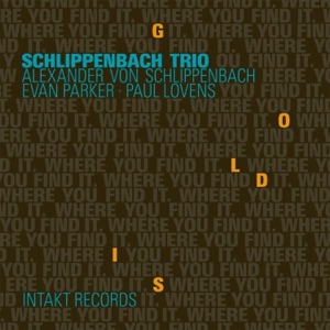 Cover of Gold Is Where You Find It