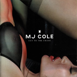 Cover of Cut to the Chase