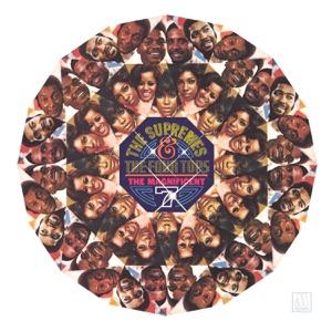 Cover of The Magnificent 7