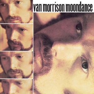 Hoes van Moondance