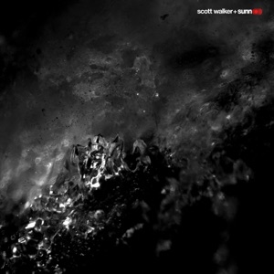 Cover of Soused