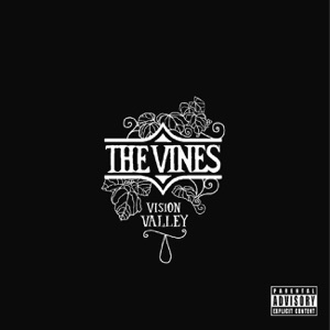 Hoes van Vision Valley