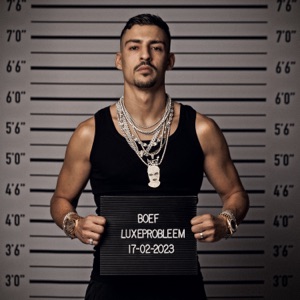 Cover of Luxeprobleem