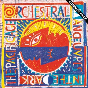 Cover of The Pacific Age