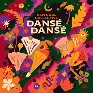 Cover of Dansé Dansé